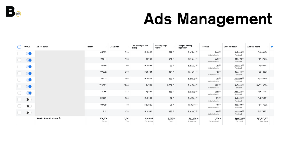 Ads Management for Optimizing Leads